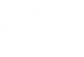 Option Travels